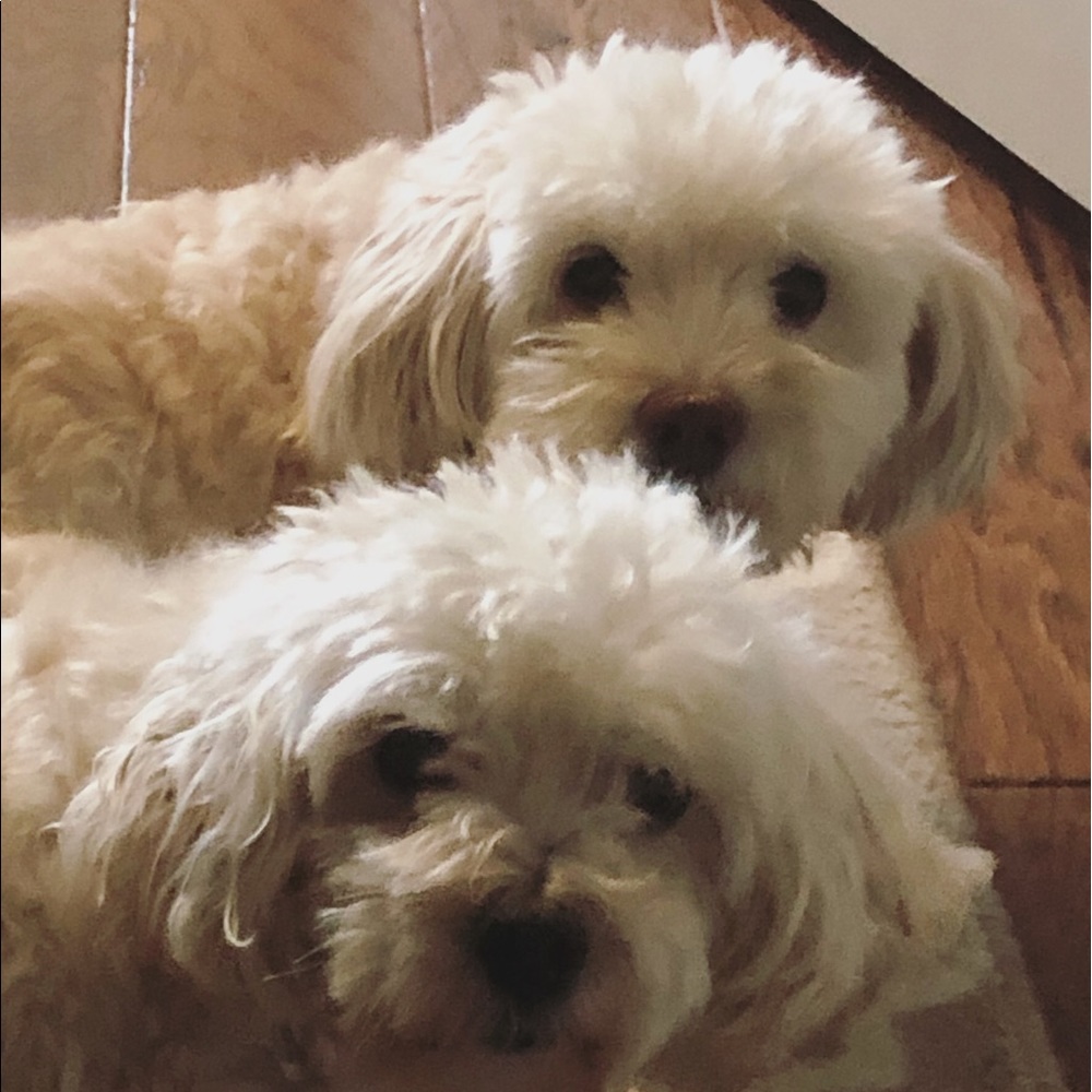 Meet your Posher, Heather